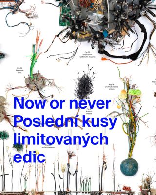 Teď nebo nikdy.⌛ Poslední šance získat jedinečné limitované edice, které se nebudou opakovat! ❤️‍🔥 Do prodeje pouštíme...